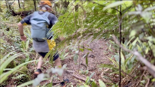 Running down a dream