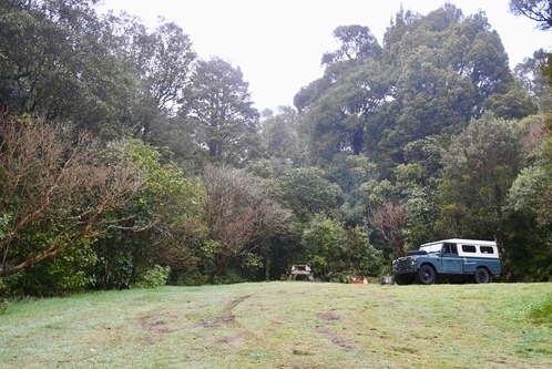 Ngaherenga Campsite