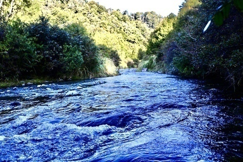 Waikoko Valley Campsites