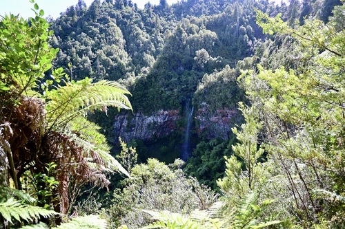Tupapakura Falls