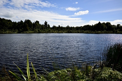 Nga Roto-o-Rangataua (Ohakune Lakes) Scenic Reserve