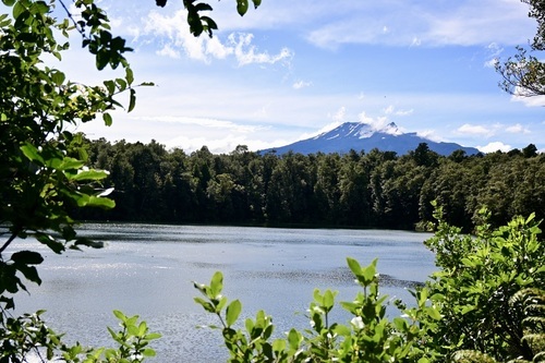 Lake Rotokura Walk
