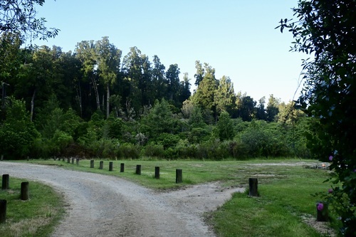 Kakaho Campsite