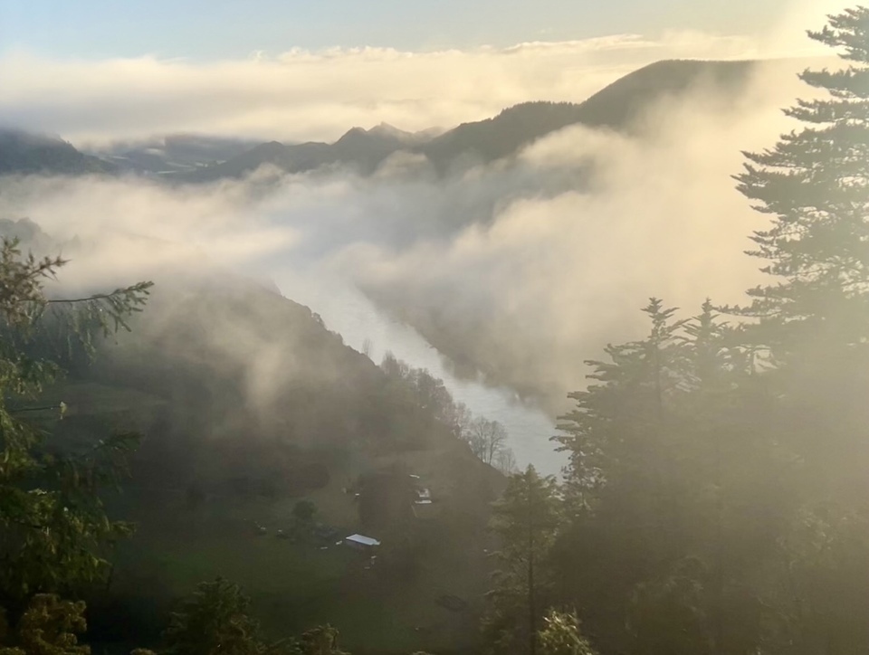 Whanganui River Road