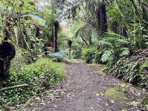 Te Henui, Huatoki walkways loop.