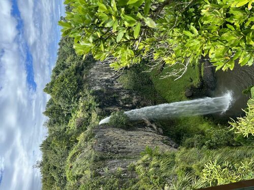Bridal Veil Falls (Waireinga)