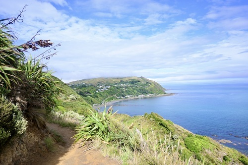 Paekakariki Escarpment Track
