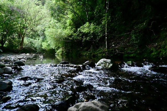 Kiriwhakapapa Campsite
