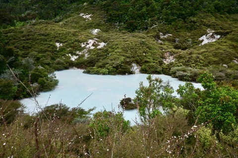 Te Kopia Scenic Reserve (Mud Pools)