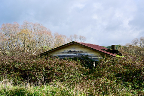 Abandoned House print - Pair