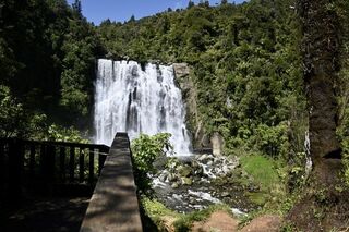 Waikato