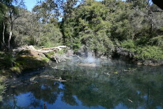 Tokaanu Thermal Walk