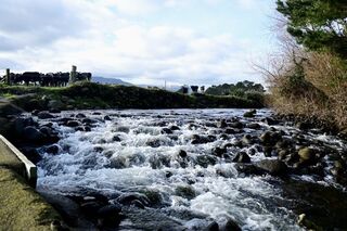 Stony River Walkway