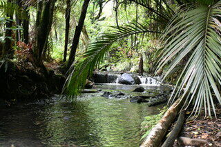 Water Race Track