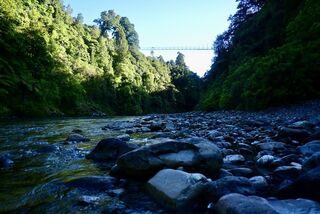 Waiohine Gorge Camping Area