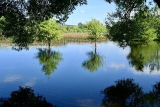 Guy Roe Reserve