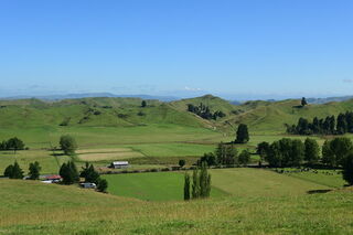 Rangiwahia Scenic Reserve